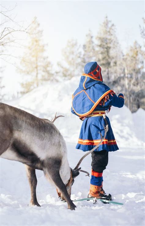 Saami Person With A Reindeer Saami Clothes Stock Photo Image Of