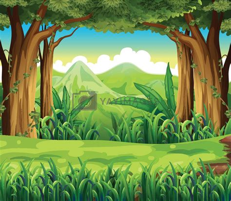 The Green Forest By Iimages Vectors And Illustrations With Unlimited