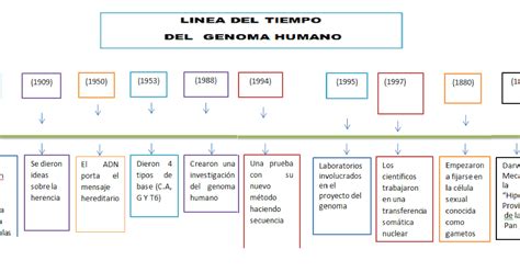 Linea Del Tiempo Ingenieria Genetica Kulturaupice