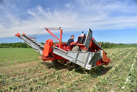 Byron Sweet Corn Harvester 3 Agricor
