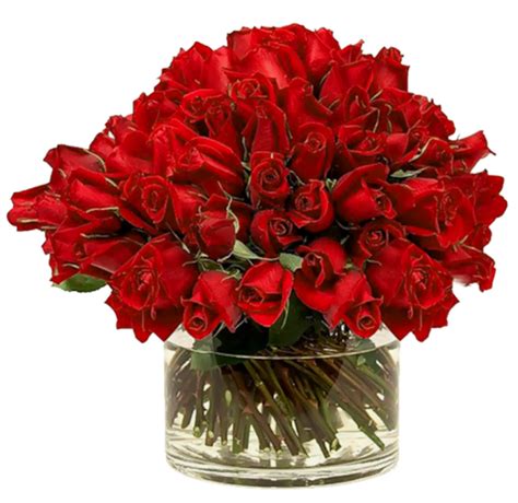 6 Dozen Red Roses Eden Florist South Florida Flowers For Any Occasion
