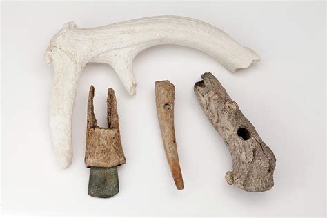 European Stone Age Antler Tools Photograph By Paul D Stewart Fine Art