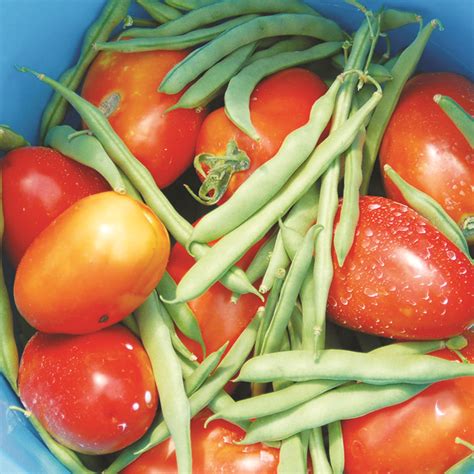 I've put together this list for those interested in beginning to research an orchard or fruit tree grove. Central Florida Gardening Calendar - Osprey Observer