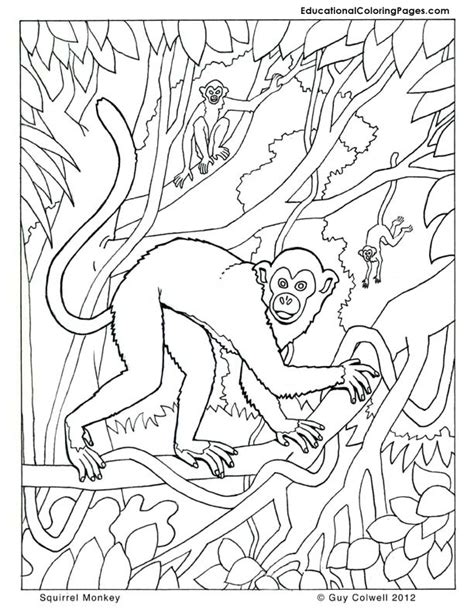 Primates Book Two Animal Coloring Pages For Kids