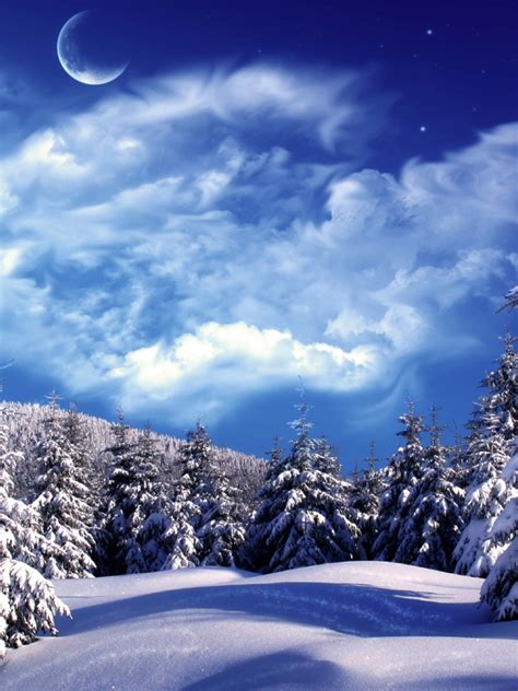 Free Download Winter Beautiful 1920x1200 1610 1920x1200 For Your