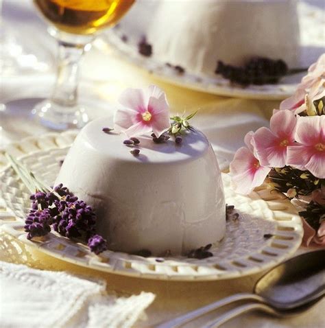 Joghurt Panna Cotta Rezept