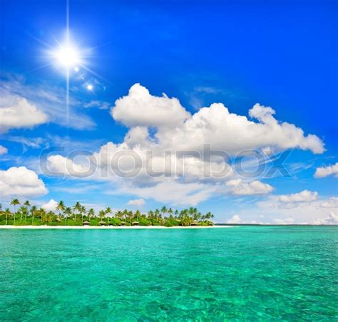 Tropical Beach With Palm Trees And Sunny Blue Sky Stock
