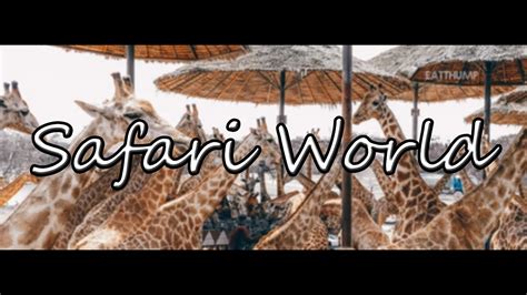 Review Safari World Show Youtube