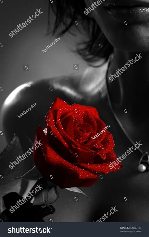 Nude Woman Red Rose Dark Black Stock Photo 64889185 Shutterstock