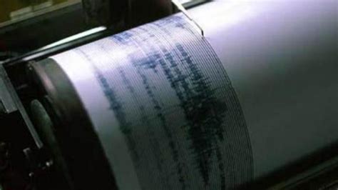 Dikutip dari keterangan badan meteorologi, klimatologi, dan geofisika (bmkg). Gempa Bumi Tektonik M 4.6 Guncang Wilayah Pesisir Barat ...