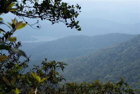 Hutan водопад pulai gunung lipur. dan aku menulis untuk diri sendiri: 379 : Catatan ...