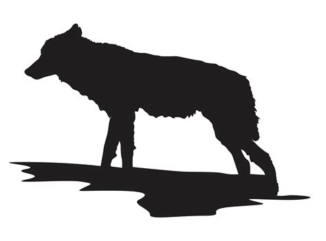 Gray Wolf Silhouette Black Wolf Drawing Silhouette Pn