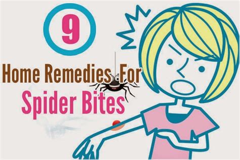 9 Effective Home Remedies For Spider Bites ~ Mzizi Mkavu