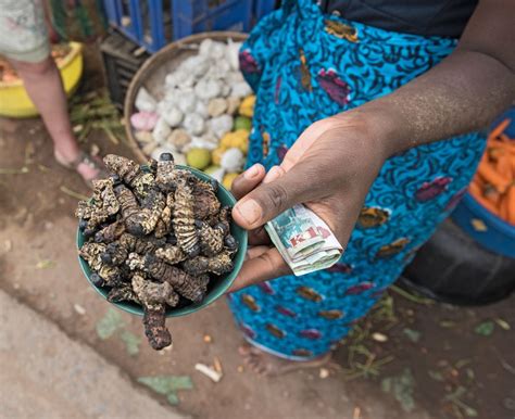 9 Traditional Foods You Must Eat While Youre In Zambia