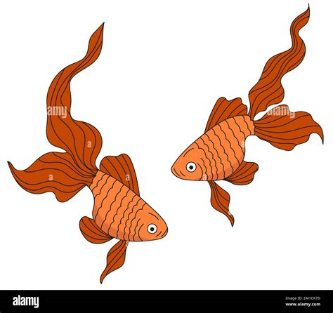 Goldfish Illustration Sea Inhabitants Fish Icons Two Orange Fishes On