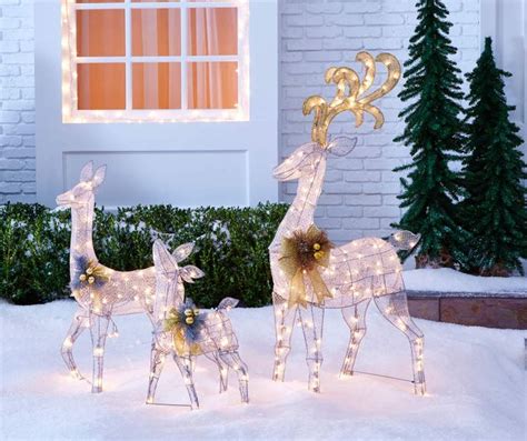 Two Lighted Reindeer Statues In Front Of A House