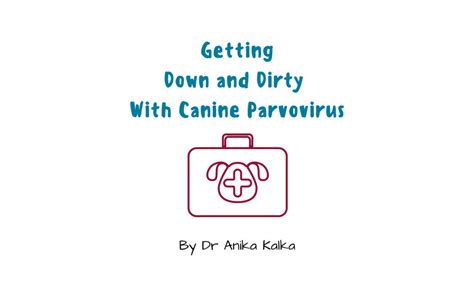 Getting Down And Dirty With Canine Parvovirus Dr Anika Kalka Midwest