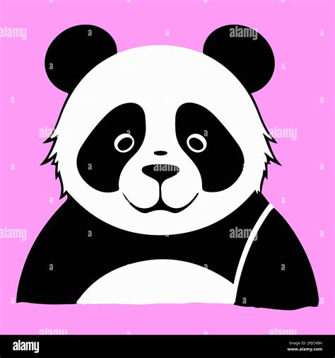 panda vector illustration. The head of a giant panda on a pink