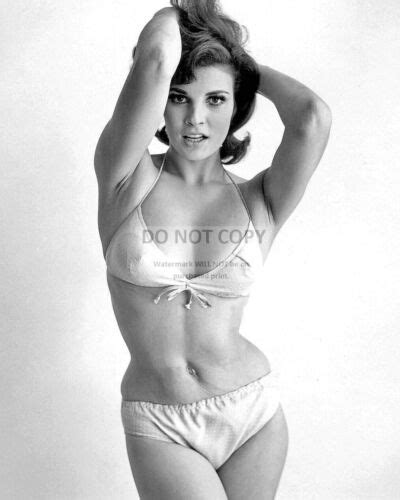 Raquel Welch Actress And Sex Symbol Pin Up X Publicity Photo