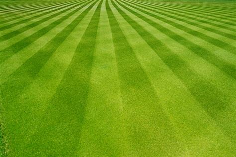Perfect Lawn Stock Photos Pictures And Royalty Free Images Istock