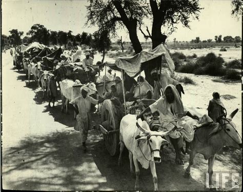 96 best India's Partition images on Pinterest | History, Vintage india