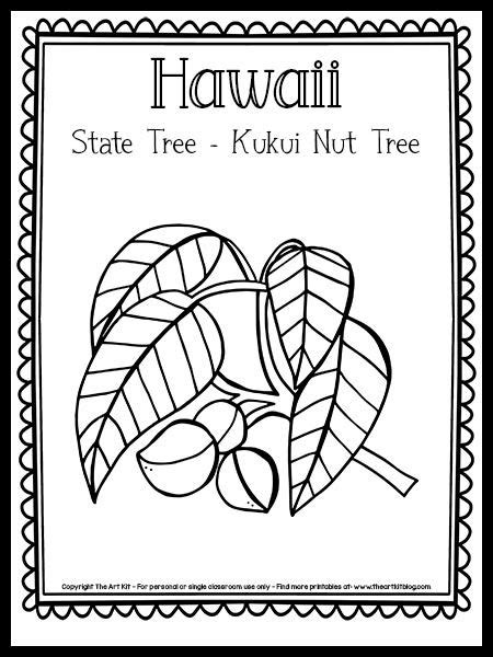 Hawaii State Tree Coloring Page Kukui Nut Tree Free Printable