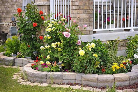 33 Gorgeous Rose Garden Ideas Photo Inspiration Garden