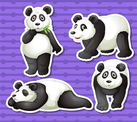 Panda Set Vetor Grátis