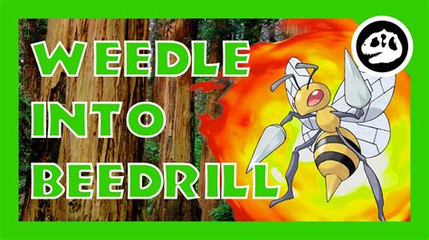 Pokemon Go Weedle Evolves Into Beedrill MAX CP BEEDRILL YouTube