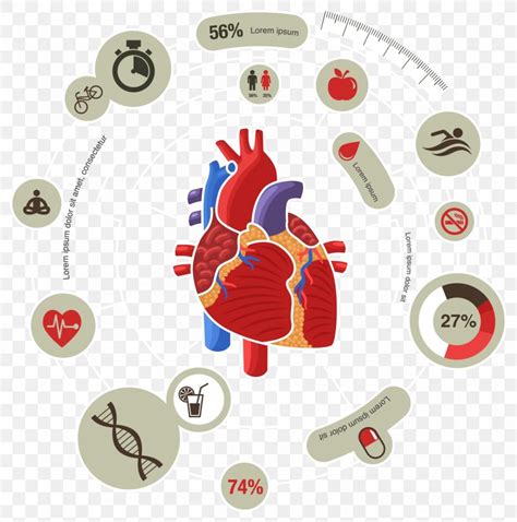 Myocardial Infarction Heart Cardiovascular Disease Symptom Png