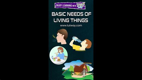 Basic Needs Of Living Things Air Water Food And Shelter Science