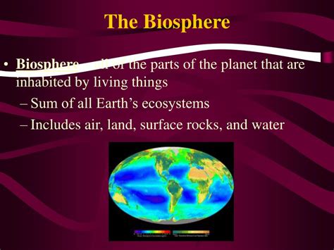 Ppt Chapter 1 The Scope Of Biology Powerpoint Presentation Free