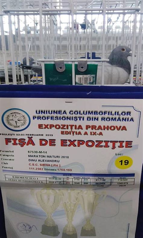 Oana sîrbu lansează videoclipul piesei o lacrimă de cântec este o. Domnul Dinu Alexandru Mihai, din Brazi, UCPR Prahova ...