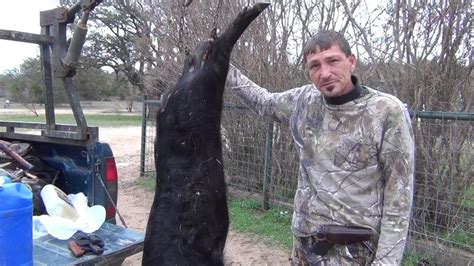 Where to shoot a hog with a 223. Texas Feral Hog Down, AR15 .223 Head Shot - YouTube