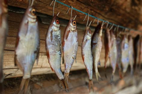 Vi svelo un segreto che mi ha insegnato sabina, la sorella della signora piera, per fare il pesce finto. Essiccazione Del Pesce Sulla Corda Immagine Stock ...