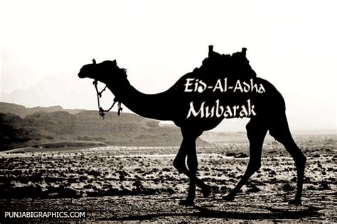 Check spelling or type a new query. Eid Mubarak GIF, Animated, Moving & 3D Glitter Image for ...