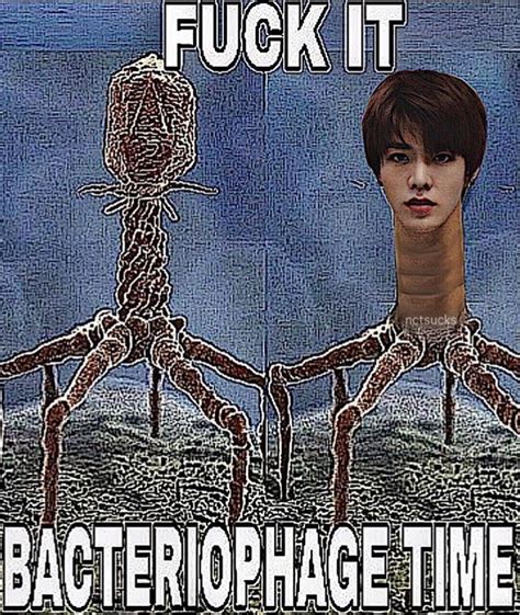 Pin by Woojae ‧₊˚ on Nct Reaction Memes | Kpop memes exo ...