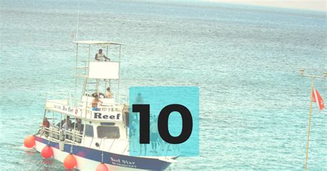 However the same cannot be said for spotting a shark. Delightful Departures: 10 Things to Bring with You on a ...