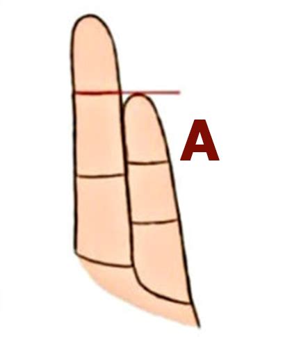 The Length Of This Finger Is The Secret To Your Personality Furilia Entertainment