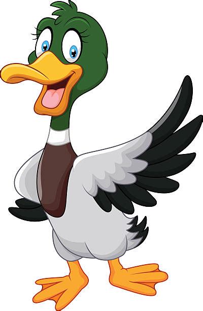 Royalty Free Mallard Duck Clip Art Vector Images