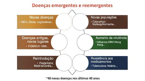 Doenças Emergentes No Brasil
