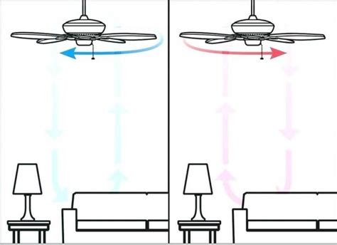 What direction should a ceiling fan spin in winter? Ceiling Fan Rotation: This is How to Set It | EarlyExperts