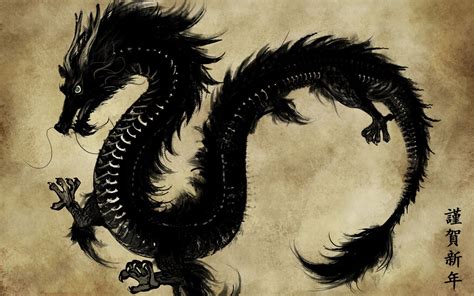 Black Chinese Dragon Illustration Dragon Chinese Fantasy Art Hd