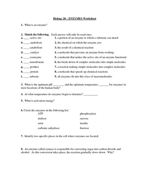 Chaumont ap bio zoom zoom meeting. 19 Best Images of Biology Worksheets With Answers - Biology Enzyme Worksheet High School, The 12 ...