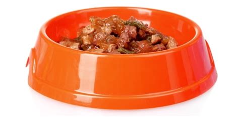 Why we need good dog food? Best Canned Dog Food: 4 High Quality Options (Updated 2017)