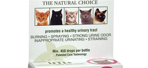 Urinary Tract Infection In Cats Recognizing The Symptoms Healthy
