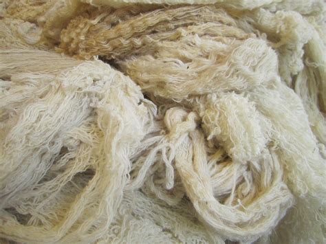 Natural Wool Culture Xplorers