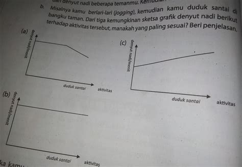 Bentuknya sangat mudah untuk dibuat sketsa meskipun ada beberapa yang bentuk sayapnya rumit. 57 Gambar Sketsa Kursi Taman HD - Gambar Kursi
