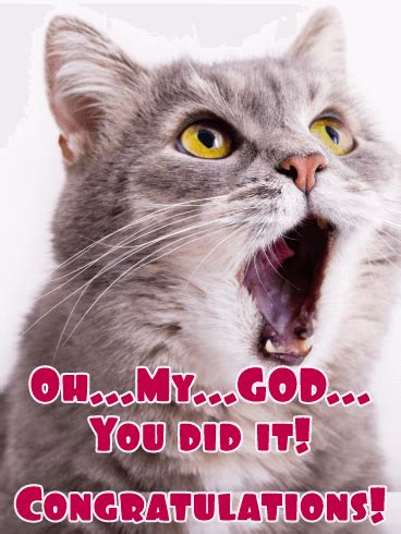 Funny congrats meme funny congratulation messages. Funny Cat Congratulations Card | Birthday & Greeting Cards ...