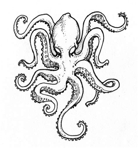 This will help you to outline the lower portion of the head. octopus | Octopus drawing, Octopus tattoos, Octopus outline